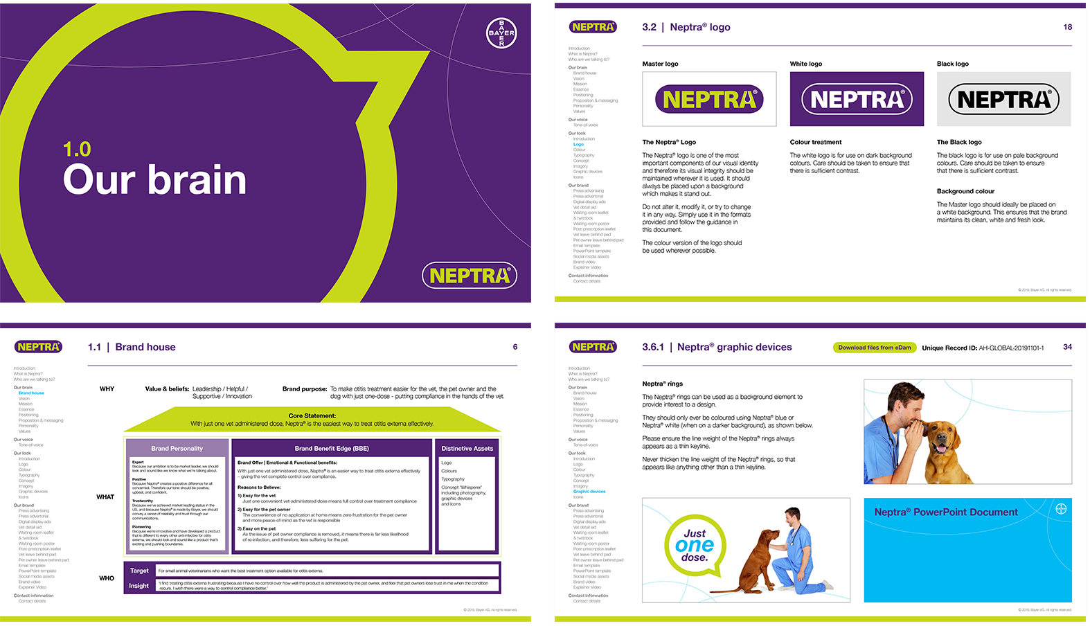 Neptra brand guidelines