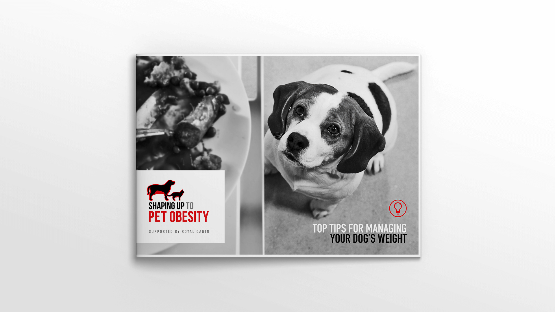 Royal Canin Shaping up to Pet Obesity booklet
