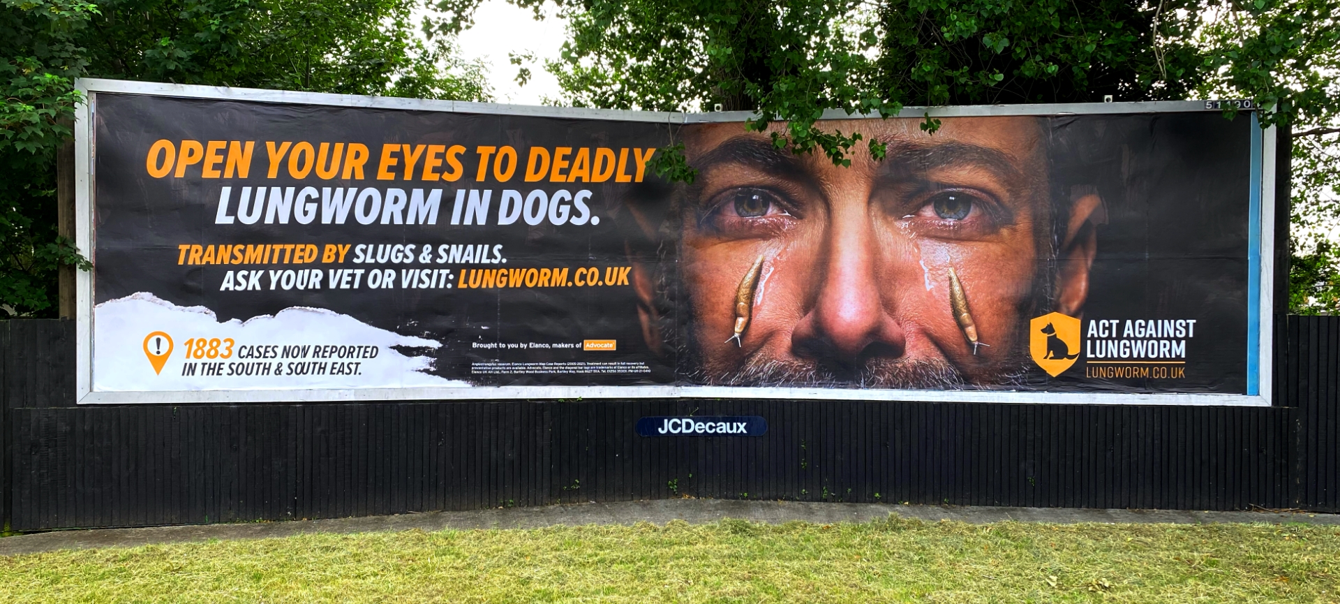 act against lungworm outdoor billboard