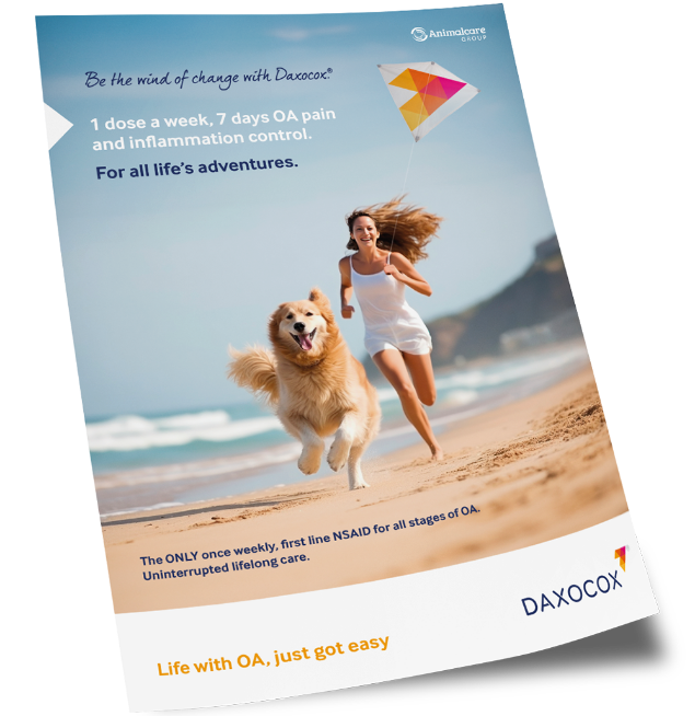 Daxocox Ad